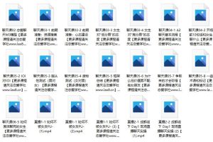 鸭哥社交《1999线上聊天》培训课程百度网盘下载