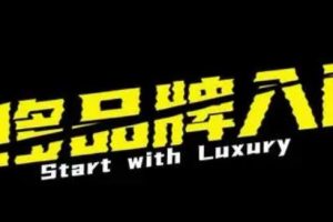 魔卡《奢侈品牌入门（已玩更）》网盘下载