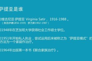 丛非从《萨提亚模式理论技术及应用，如何重构家庭积极系统》共20讲