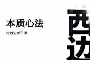 村西边老王《本质心法7.0》
