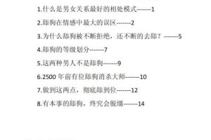 舔狗消杀秘笈PDF