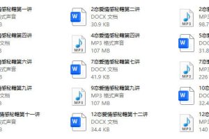 老娄《恋爱情感》12讲