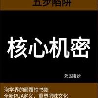 五步陷阱《核心机密》PDF
